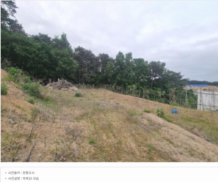 2025타경502437 세종특별자치시 장군면 대교리 175-2 임야 경매 이미지