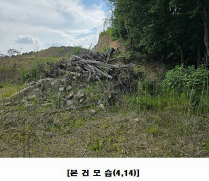 2025타경502437 세종특별자치시 장군면 대교리 175-2 임야 경매 이미지