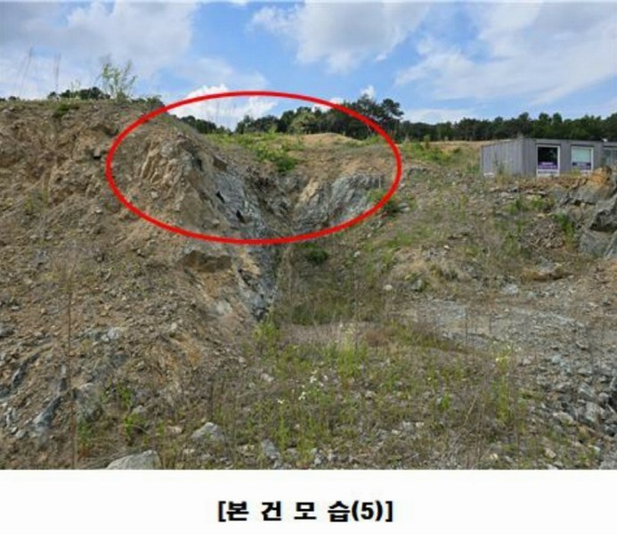 2025타경502437 세종특별자치시 장군면 대교리 175-2 임야 경매 이미지
