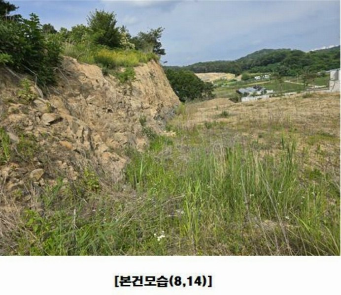2025타경502437 세종특별자치시 장군면 대교리 175-2 임야 경매 이미지