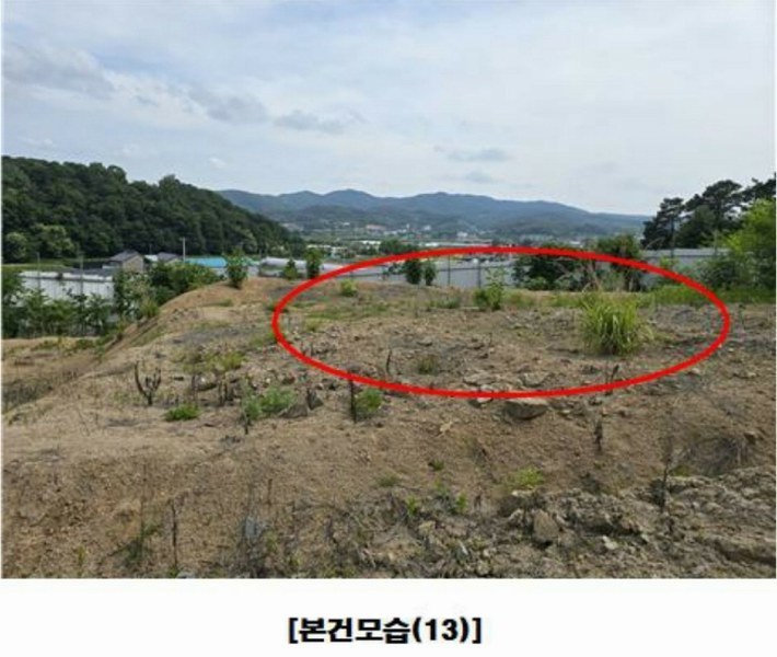 2025타경502437 세종특별자치시 장군면 대교리 175-2 임야 경매 이미지