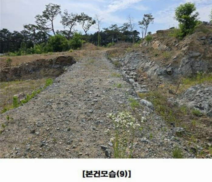 2025타경502437 세종특별자치시 장군면 대교리 175-2 임야 경매 이미지