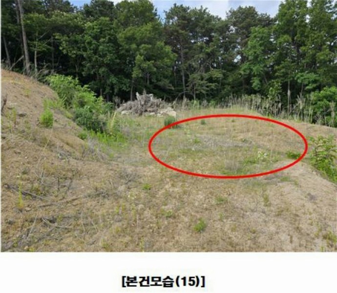 2025타경502437 세종특별자치시 장군면 대교리 175-2 임야 경매 이미지