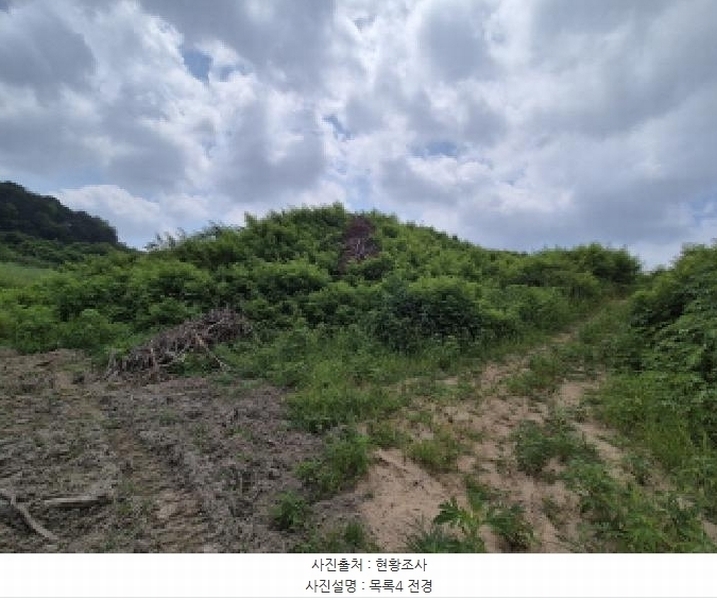2025타경502799 세종특별자치시 연동면 문주리 63-3 임야 경매 이미지