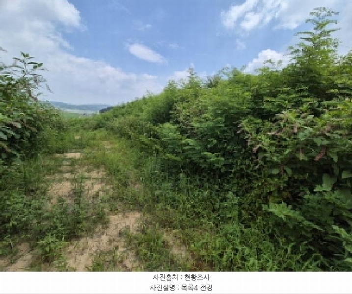 2025타경502799 세종특별자치시 연동면 문주리 63-3 임야 경매 이미지