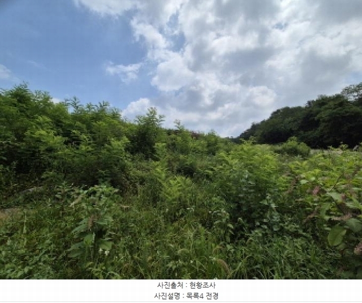 2025타경502799 세종특별자치시 연동면 문주리 63-3 임야 경매 이미지