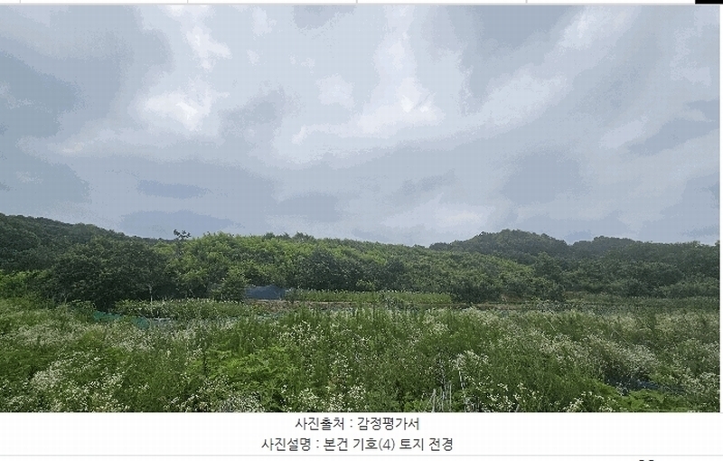 2025타경502799 세종특별자치시 연동면 문주리 63-3 임야 경매 이미지