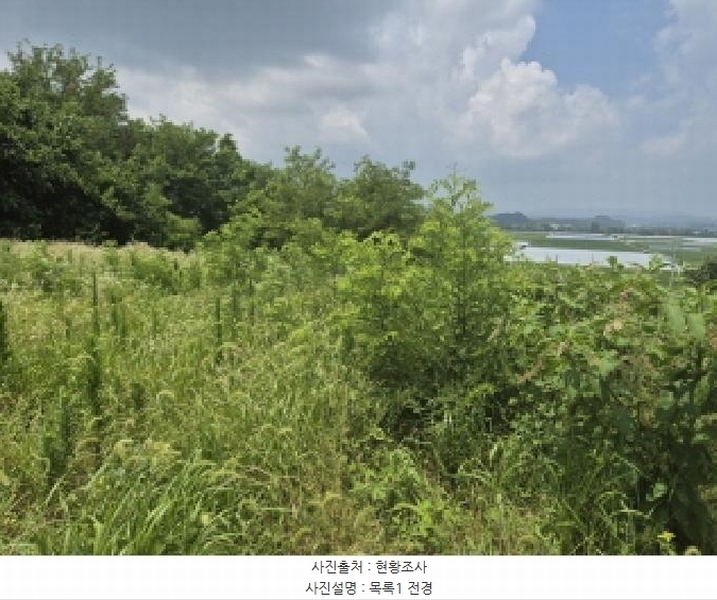2025타경502799 세종특별자치시 연동면 문주리 63-3 임야 경매 이미지