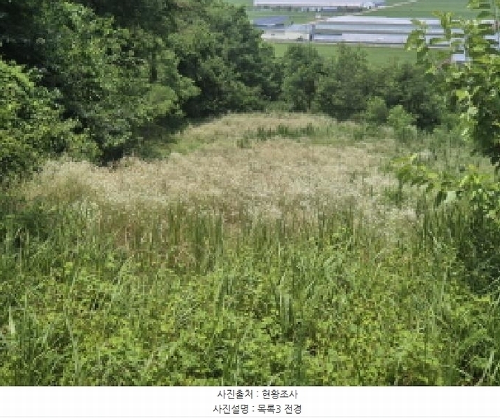 2025타경502799 세종특별자치시 연동면 문주리 63-3 임야 경매 이미지