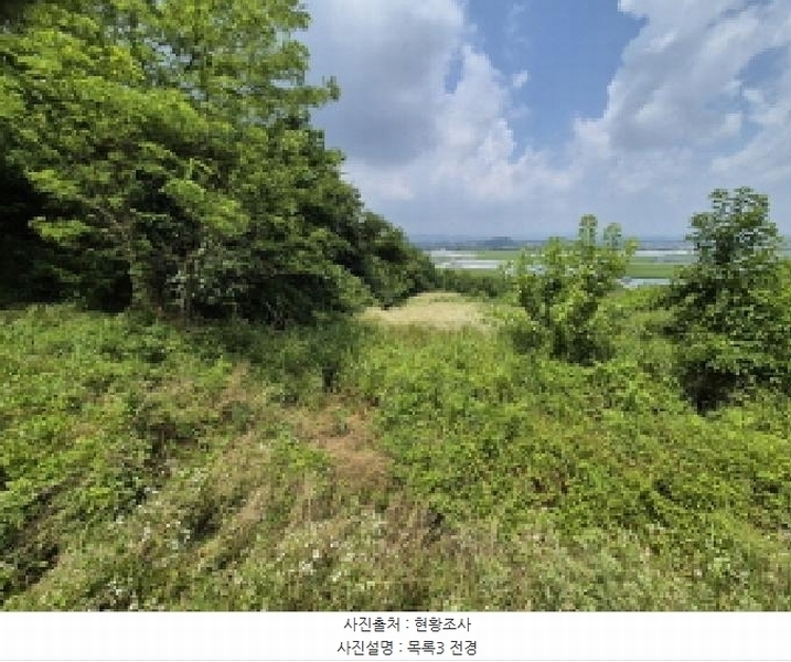 2025타경502799 세종특별자치시 연동면 문주리 63-3 임야 경매 이미지