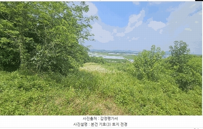 2025타경502799 세종특별자치시 연동면 문주리 63-3 임야 경매 이미지