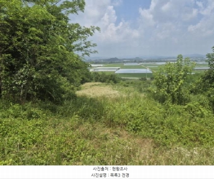 2025타경502799 세종특별자치시 연동면 문주리 63-3 임야 경매 이미지