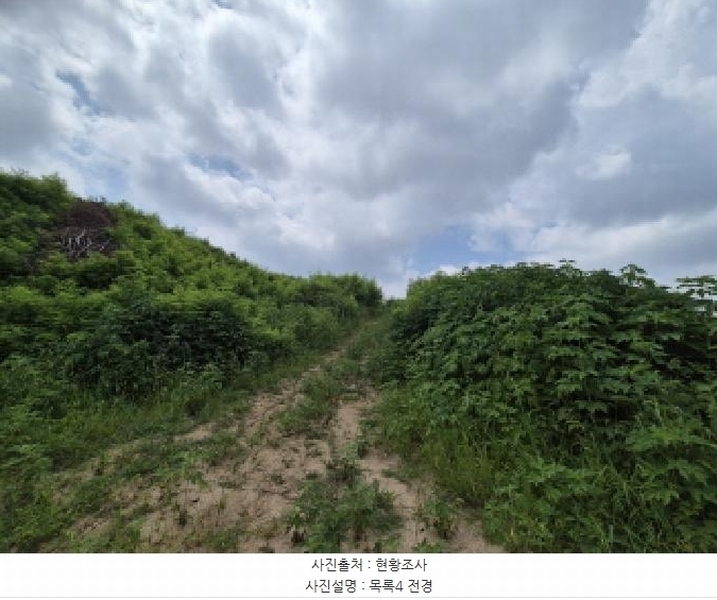 2025타경502799 세종특별자치시 연동면 문주리 63-3 임야 경매 이미지