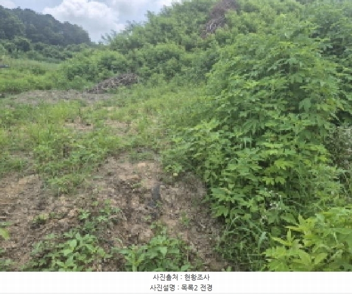 2025타경502799 세종특별자치시 연동면 문주리 63-3 임야 경매 이미지