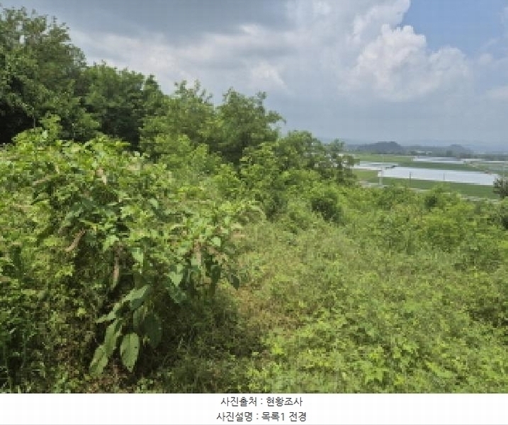 2025타경502799 세종특별자치시 연동면 문주리 63-3 임야 경매 이미지