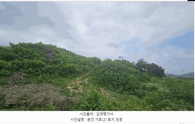 2025타경502799 세종특별자치시 연동면 문주리 63-3 임야 경매 이미지