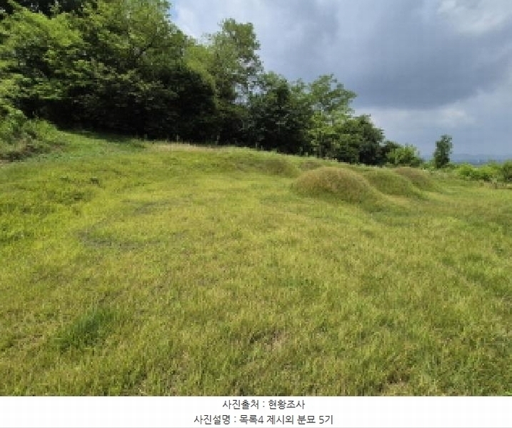 2025타경502799 세종특별자치시 연동면 문주리 63-3 임야 경매 이미지