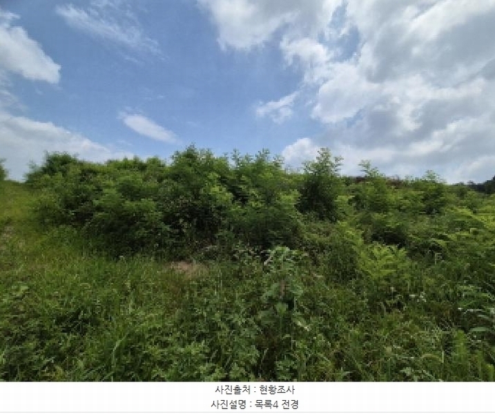 2025타경502799 세종특별자치시 연동면 문주리 63-3 임야 경매 이미지