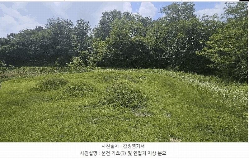 2025타경502799 세종특별자치시 연동면 문주리 63-3 임야 경매 이미지