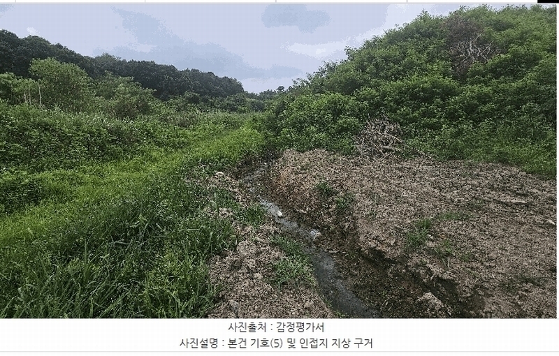 2025타경502799 세종특별자치시 연동면 문주리 63-3 임야 경매 이미지