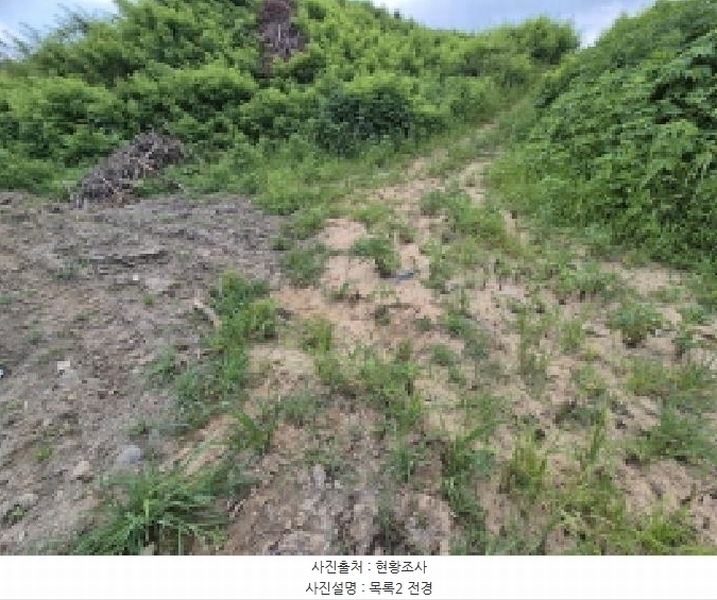 2025타경502799 세종특별자치시 연동면 문주리 63-3 임야 경매 이미지