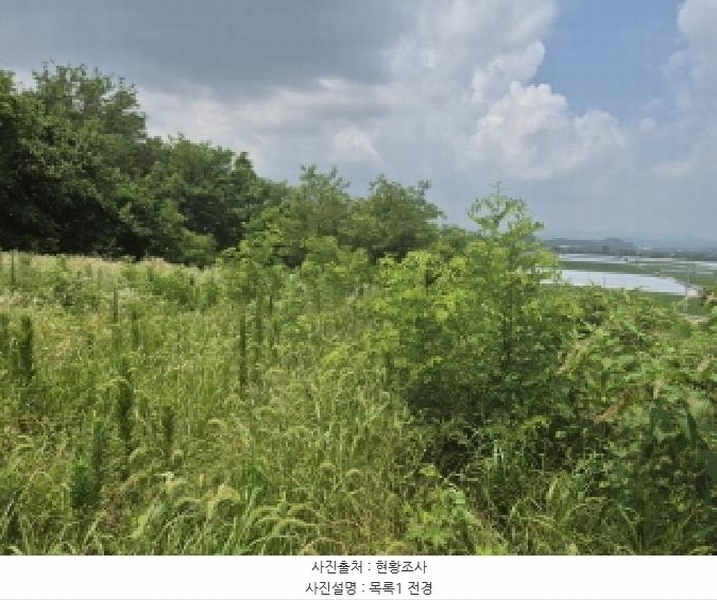 2025타경502799 세종특별자치시 연동면 문주리 63-3 임야 경매 이미지