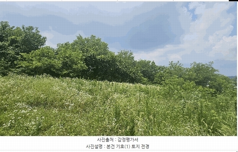 2025타경502799 세종특별자치시 연동면 문주리 63-3 임야 경매 이미지