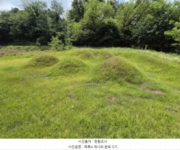 2025타경502799 세종특별자치시 연동면 문주리 63-3 임야 경매 이미지