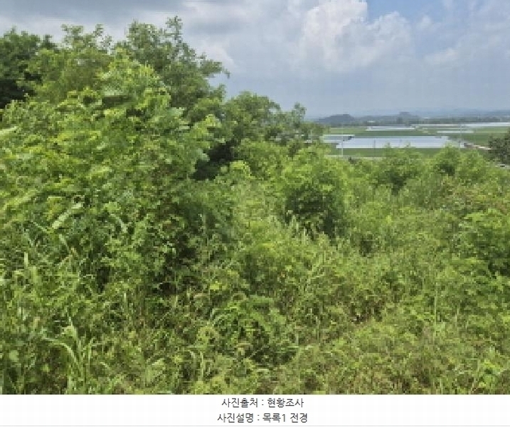 2025타경502799 세종특별자치시 연동면 문주리 63-3 임야 경매 이미지