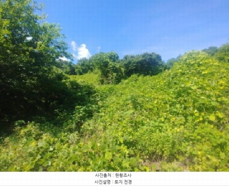 2025타경502858 충청남도 금산군 진산면 만악리 598-1 농지 경매 이미지