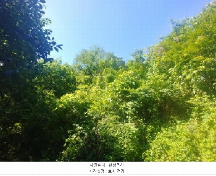 2025타경502858 충청남도 금산군 진산면 만악리 598-1 농지 경매 이미지