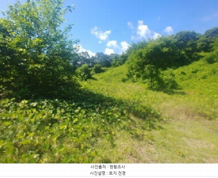 2025타경502858 충청남도 금산군 진산면 만악리 598-1 농지 경매 이미지