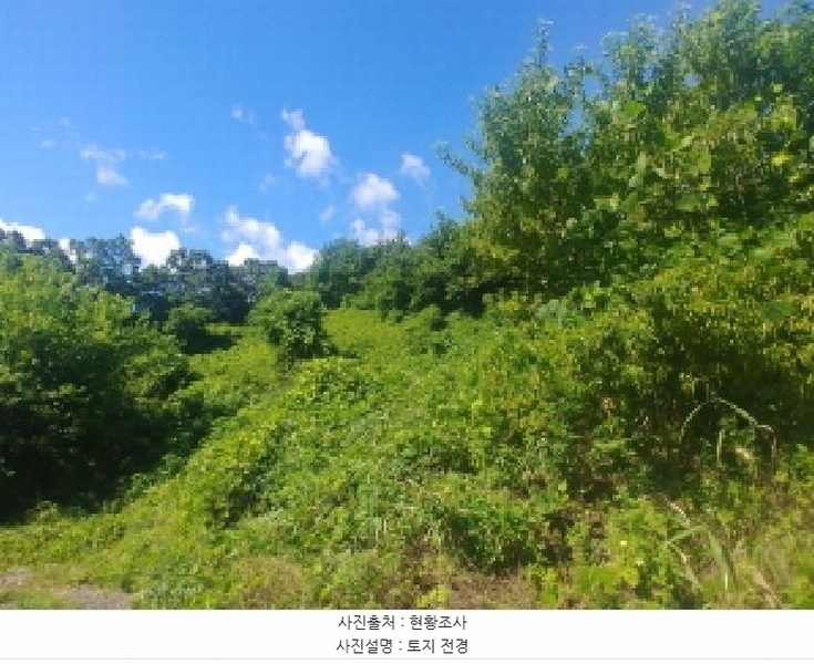 2025타경502858 충청남도 금산군 진산면 만악리 598-1 농지 경매 이미지