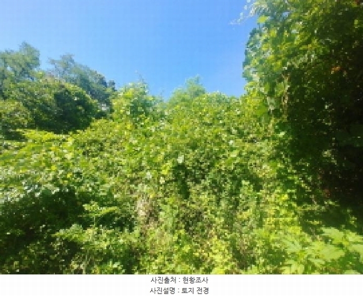 2025타경502858 충청남도 금산군 진산면 만악리 598-1 농지 경매 이미지