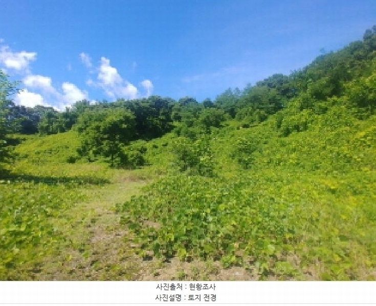2025타경502858 충청남도 금산군 진산면 만악리 598-1 농지 경매 이미지