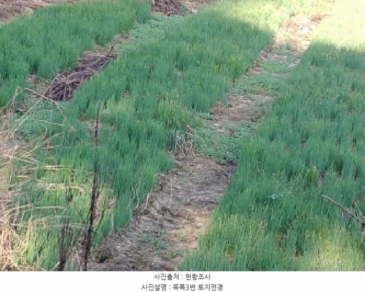 2025타경503040 충청남도 금산군 금성면 양전리 522-19 농지 경매 이미지