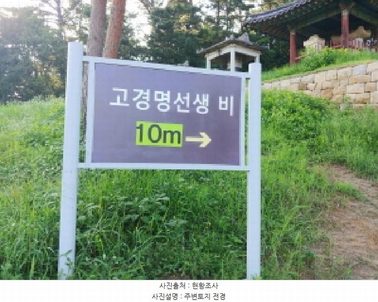 2025타경503040 충청남도 금산군 금성면 양전리 522-19 농지 경매 이미지