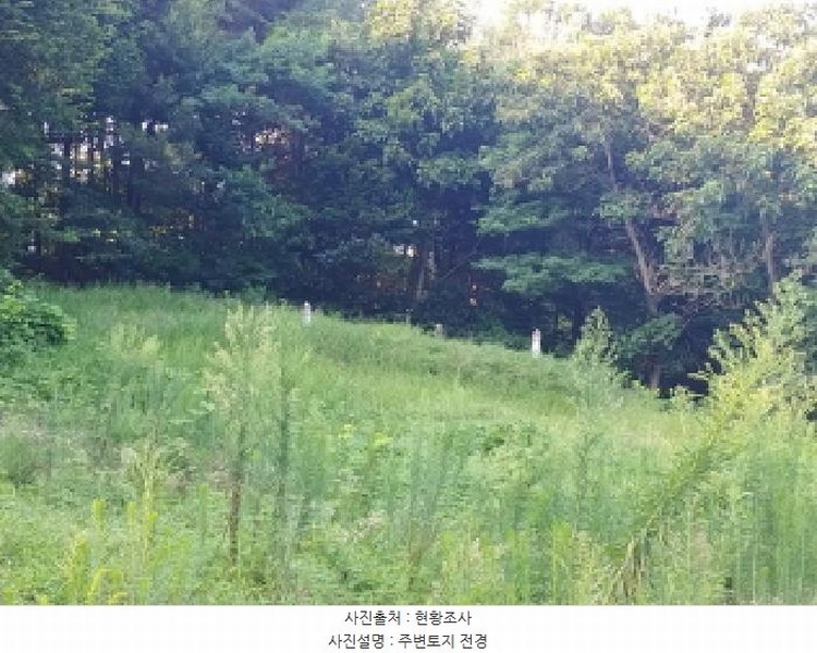 2025타경503040 충청남도 금산군 금성면 양전리 522-19 농지 경매 이미지