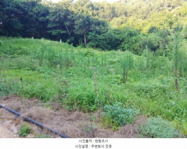 2025타경503040 충청남도 금산군 금성면 양전리 522-19 농지 경매 이미지