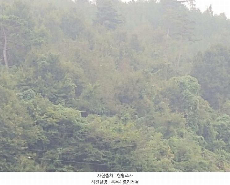 2025타경503424 충청남도 금산군 제원면 금성리 52-1 농지 경매 이미지