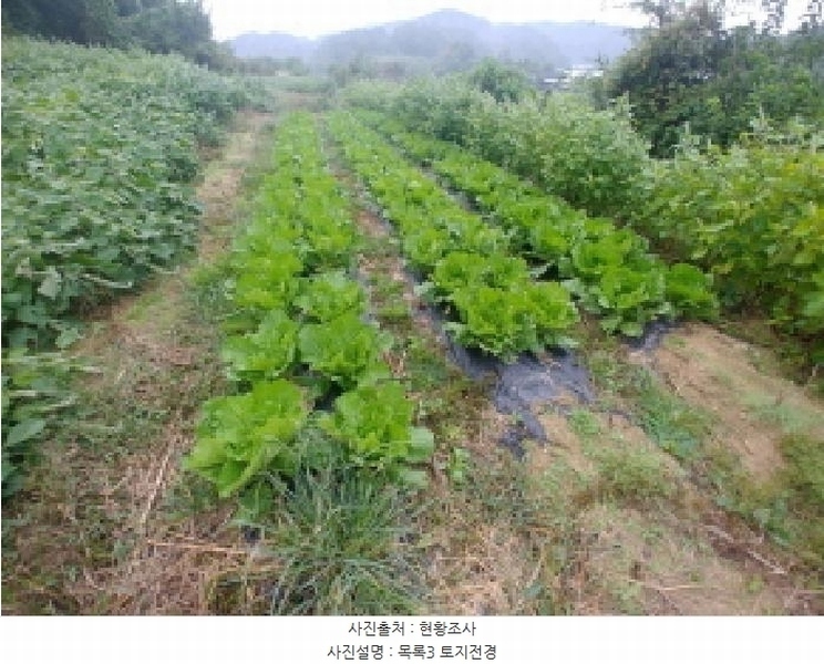 2025타경503424 충청남도 금산군 제원면 금성리 52-1 농지 경매 이미지