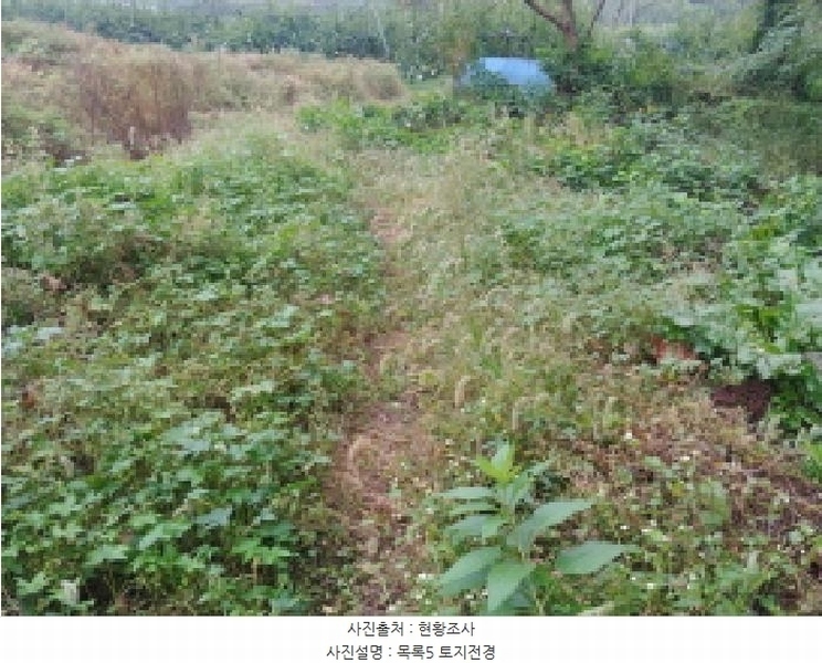 2025타경503424 충청남도 금산군 제원면 금성리 52-1 농지 경매 이미지