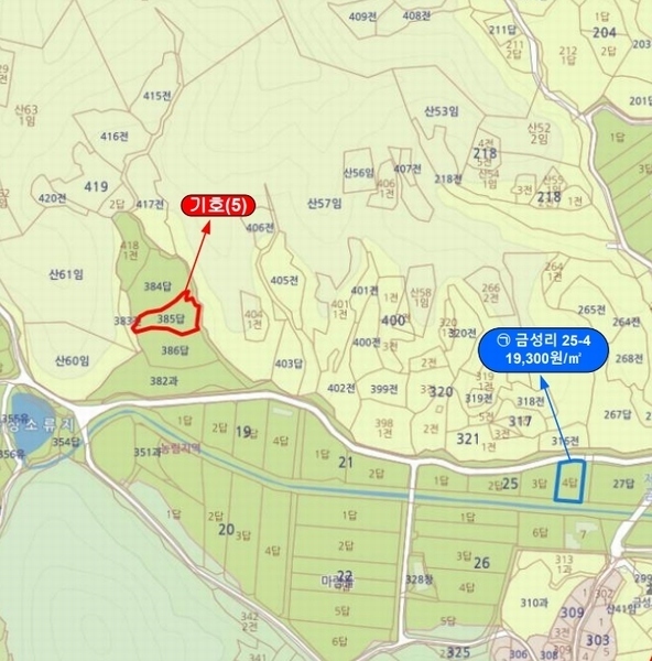 2025타경503424 충청남도 금산군 제원면 금성리 52-1 농지 경매 이미지