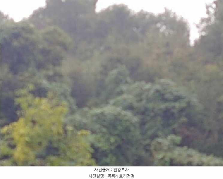 2025타경503424 충청남도 금산군 제원면 금성리 52-1 농지 경매 이미지