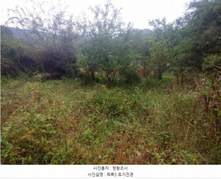 2025타경503424 충청남도 금산군 제원면 금성리 52-1 농지 경매 이미지
