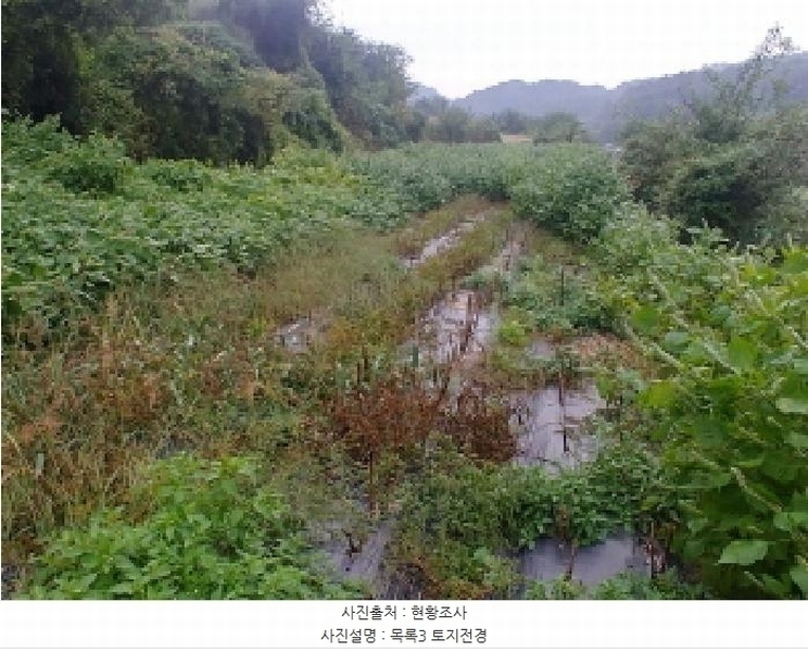 2025타경503424 충청남도 금산군 제원면 금성리 52-1 농지 경매 이미지