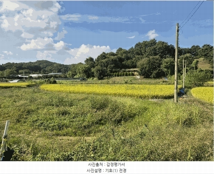 2025타경503424 충청남도 금산군 제원면 금성리 52-1 농지 경매 이미지