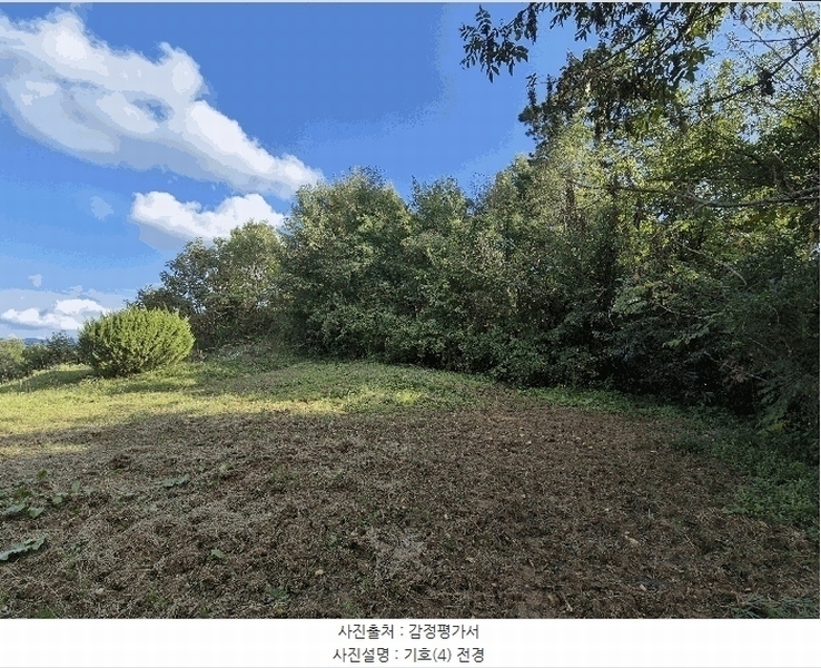 2025타경503424 충청남도 금산군 제원면 금성리 52-1 농지 경매 이미지