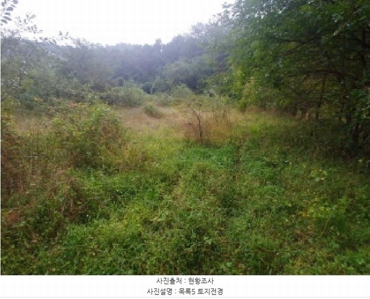 2025타경503424 충청남도 금산군 제원면 금성리 52-1 농지 경매 이미지