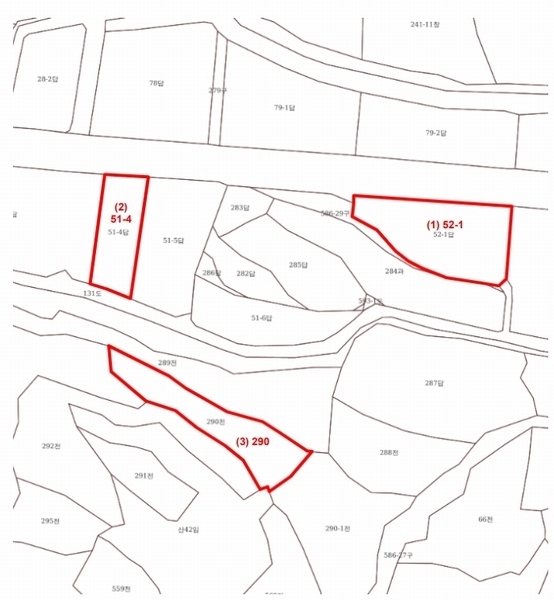 2025타경503424 충청남도 금산군 제원면 금성리 52-1 농지 경매 이미지